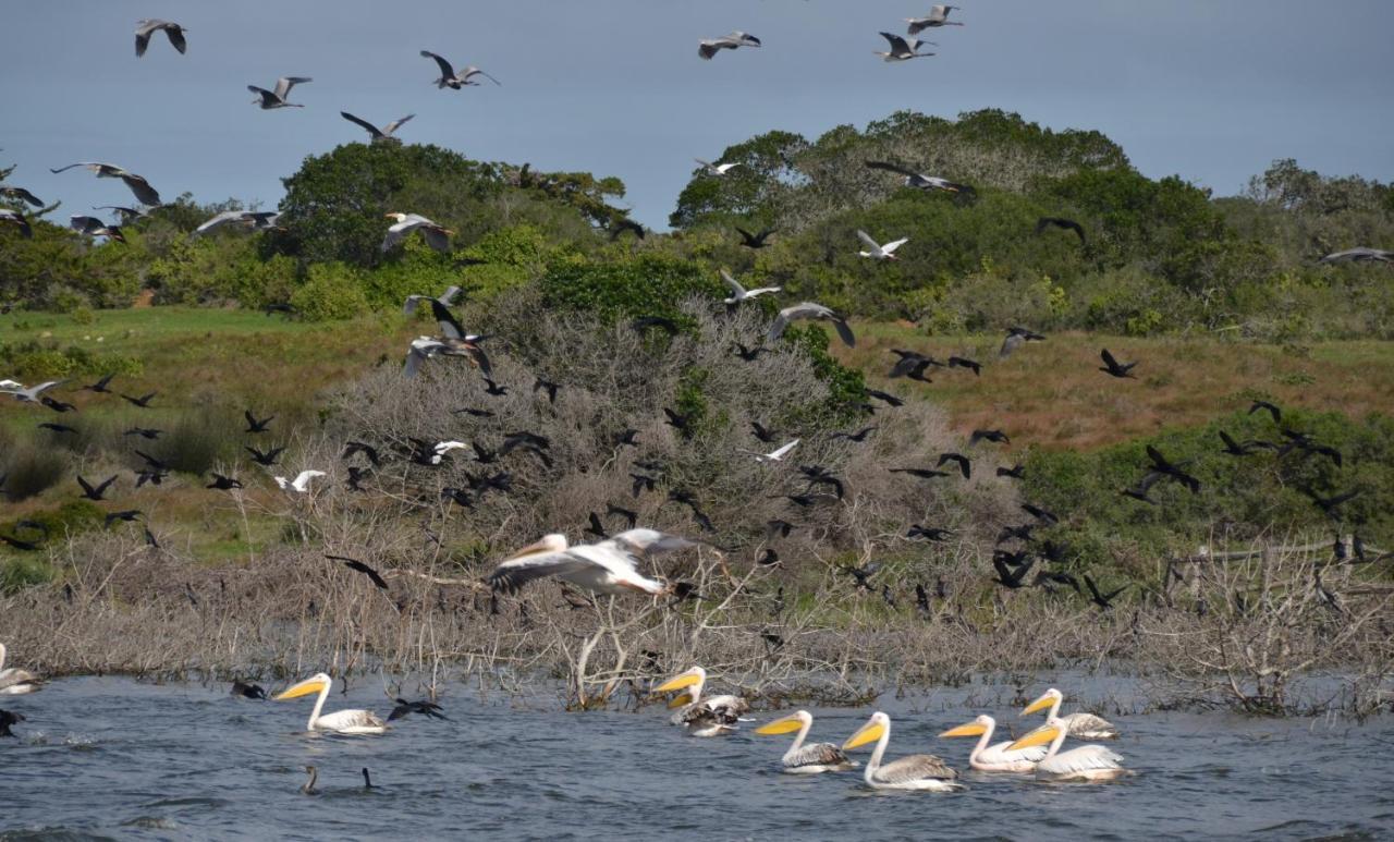 De Hoop Collection - Equipped Cottages De Hoop Nature Reserve Exterior photo